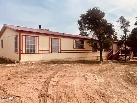 Other - 3661 Timberlake Dr, Overgaard, AZ 85933 photo 9 of 11