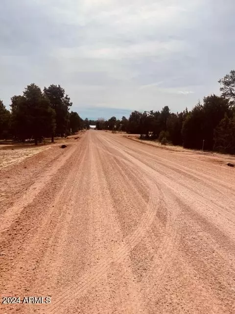 View/Area - 3661 Timberlake Dr, Overgaard, AZ 85933 photo 8 of 8