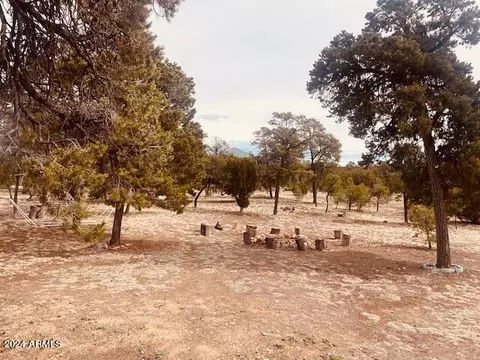 View/Area - 3661 Timberlake Dr, Overgaard, AZ 85933 photo 5 of 8