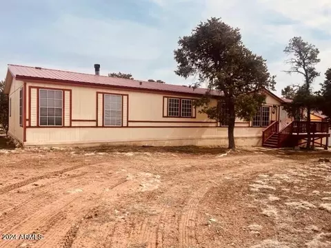 Exterior - 3661 Timberlake Dr, Overgaard, AZ 85933 photo 12 of 12