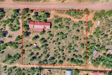 View/Area - 3661 Timberlake Dr, Overgaard, AZ 85933 photo 2 of 8