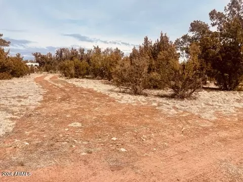 Other - 3661 Timberlake Dr, Overgaard, AZ 85933 photo 7 of 11