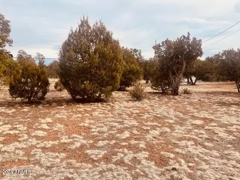 Other - 3661 Timberlake Dr, Overgaard, AZ 85933 photo 6 of 11