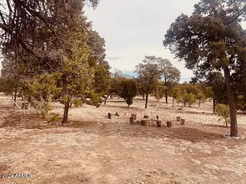 View/Area - 3661 Timberlake Dr, Overgaard, AZ 85933 photo 4 of 8