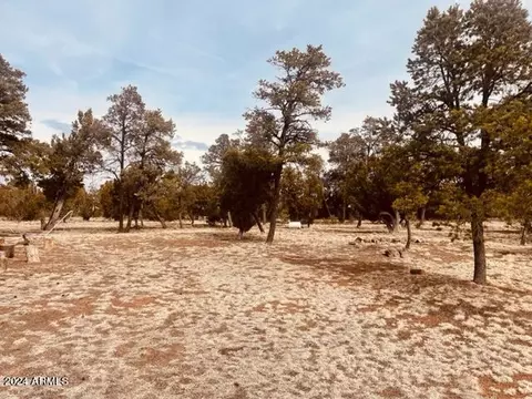 Other - 3661 Timberlake Dr, Overgaard, AZ 85933 photo 5 of 11