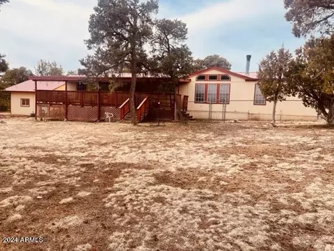 Exterior - 3661 Timberlake Dr, Overgaard, AZ 85933 photo 6 of 12