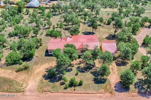 View/Area - 3661 Timberlake Dr, Overgaard, AZ 85933 photo 3 of 8