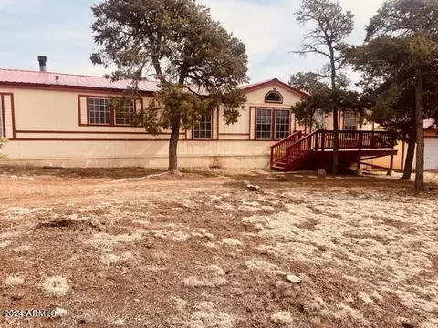 Exterior - 3661 Timberlake Dr, Overgaard, AZ 85933 photo 11 of 12