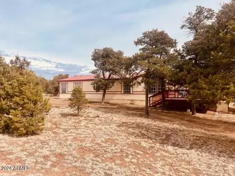 Exterior - 3661 Timberlake Dr, Overgaard, AZ 85933 photo 10 of 12