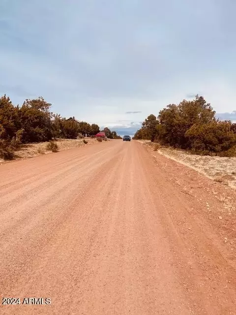 Other - 3661 Timberlake Dr, Overgaard, AZ 85933 photo 10 of 11