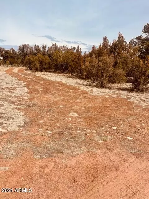 Other - 3661 Timberlake Dr, Overgaard, AZ 85933 photo 11 of 11
