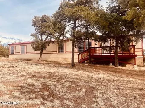 View/Area - 3661 Timberlake Dr, Overgaard, AZ 85933 photo 7 of 8