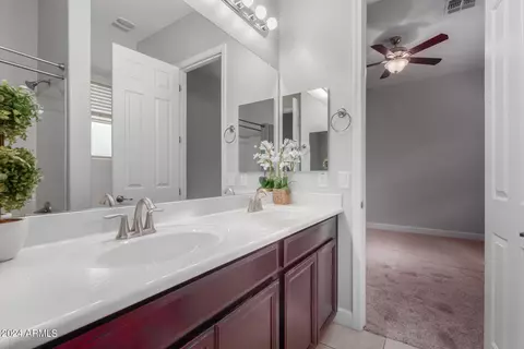 Bath - 10452 E Lincoln Ave, Mesa, AZ 85212 photo 3 of 4