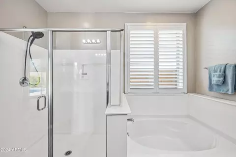Bath - 10533 E Sebring Ave, Mesa, AZ 85212 photo 2 of 8