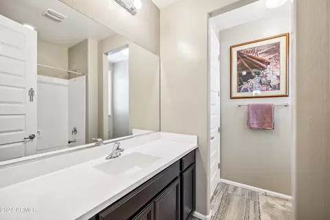 Bath - 10533 E Sebring Ave, Mesa, AZ 85212 photo 5 of 8