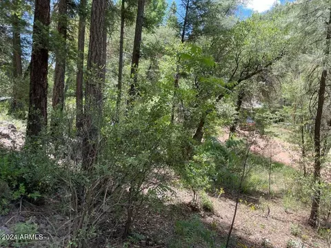 28 N Bear Flat Rd #28, Payson, AZ 85541 photo 6
