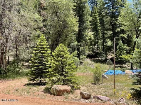 28 N Bear Flat Rd #28, Payson, AZ 85541 photo 2