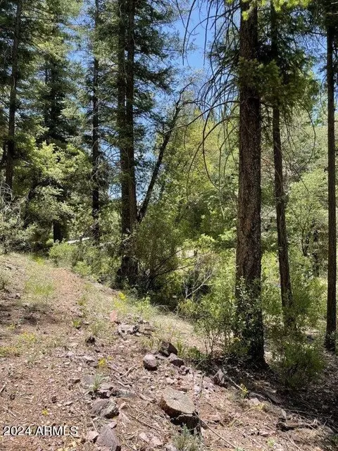 28 N Bear Flat Rd #28, Payson, AZ 85541 photo 5