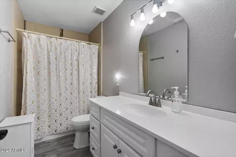 Bath - 7765 E Downing St, Mesa, AZ 85207 photo 3 of 3