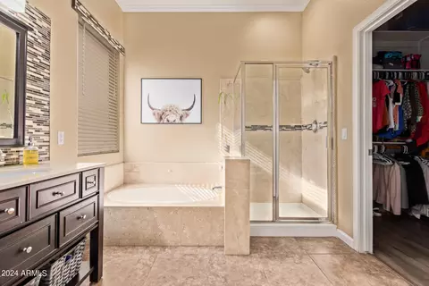 Bath - 10345 E Pantera Ave, Mesa, AZ 85212 photo 2 of 3