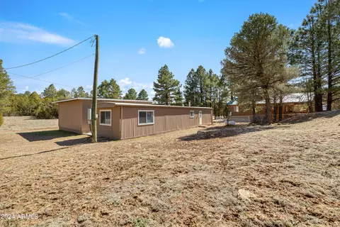 3451 Quail Run Rd, Overgaard, AZ 85933 photo 20