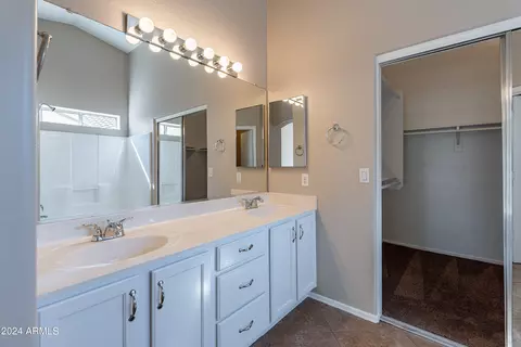 Bath - 10249 E Dolphin Ave, Mesa, AZ 85208 photo 1 of 3