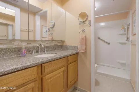 Bath - 310 E Lancaster Ct, Florence, AZ 85132 photo 1 of 2