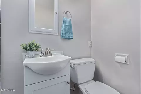 Bath - 1050 E Jarvis Ave, Mesa, AZ 85204 photo 4 of 4