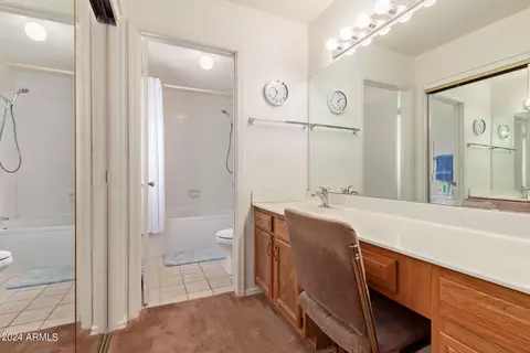 Bath - 4725 E Brown Rd #72, Mesa, AZ 85205 photo 4 of 5