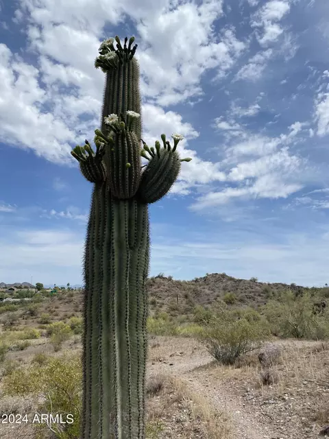 View/Area - 2849 E Beryl Ave, Phoenix, AZ 85028 photo 3 of 5