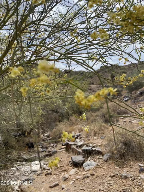 View/Area - 2849 E Beryl Ave, Phoenix, AZ 85028 photo 4 of 5