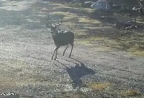 Other - 1009 Wolf Run, Williams, AZ 86046 photo 9 of 11