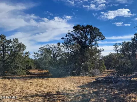 Other - 1009 Wolf Run, Williams, AZ 86046 photo 11 of 11