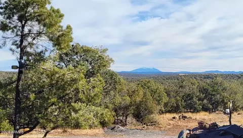 View/Area - 1009 Wolf Run, Williams, AZ 86046 photo 3 of 7