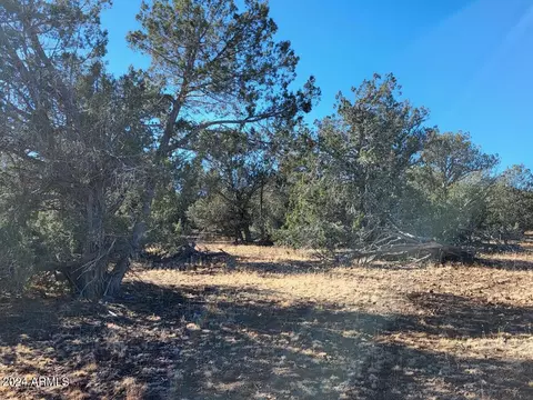 Exterior - 1009 Wolf Run, Williams, AZ 86046 photo 7 of 7