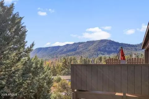 1141 Elk Rim Ct, Pine, AZ 85544 photo 3