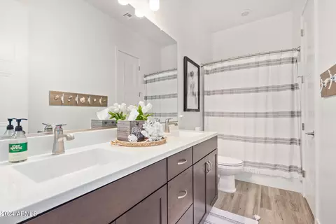 Bath - 909 E Buist Ave, Phoenix, AZ 85042 photo 6 of 7