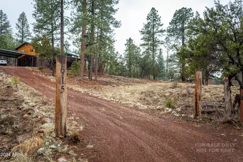 View/Area - 1915 S Pine Rd, Heber, AZ 85928 photo 1 of 4