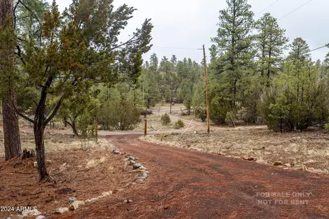 View/Area - 1915 S Pine Rd, Heber, AZ 85928 photo 4 of 4