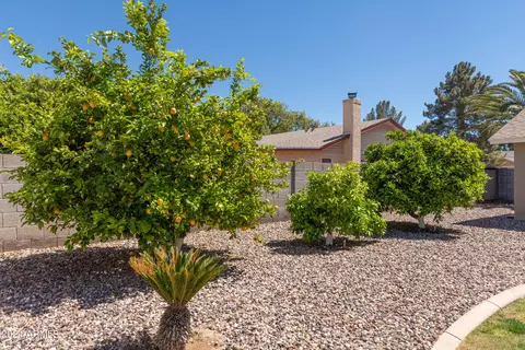 Exterior - 2850 E Downing Cir, Mesa, AZ 85213 photo 12 of 12