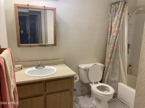 809 E 4th Pl, Mesa, AZ 85203 photo 8