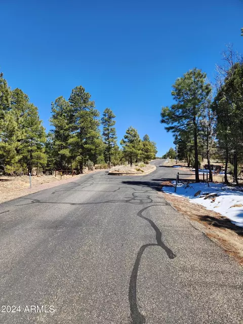 5673 Twin Oaks Loop #65, Happy Jack, AZ 86024