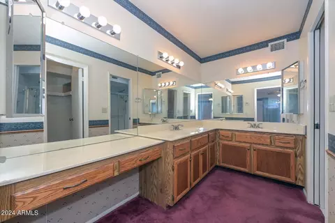 Bath - 2543 E Wagoner Rd, Phoenix, AZ 85032 photo 1 of 5