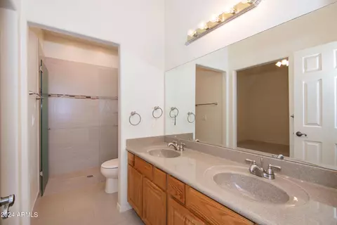 Bath - 9765 E Grandview St, Mesa, AZ 85207 photo 2 of 8