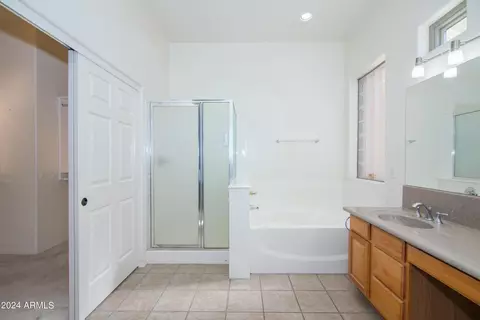 Bath - 9765 E Grandview St, Mesa, AZ 85207 photo 4 of 8