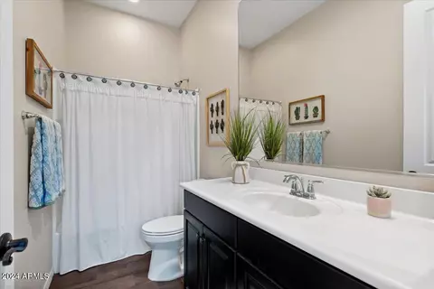 Bath - 872 E Hampton Ln, Gilbert, AZ 85295 photo 3 of 4