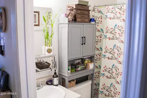 Bath - 4812 E Caballero Cir, Mesa, AZ 85205 photo 2 of 2