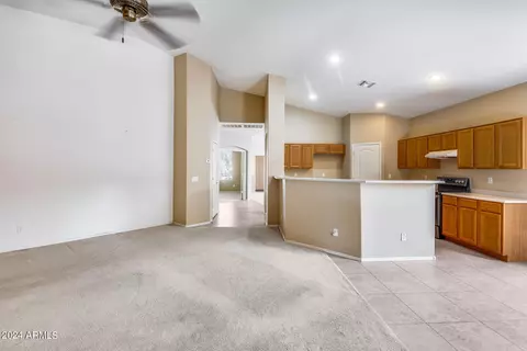 Other - 10351 E Jan Ave, Mesa, AZ 85209 photo 27 of 43