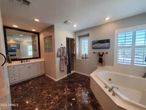 Bath - 2884 E Clifton Ct, Gilbert, AZ 85295 photo 3 of 11