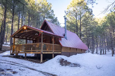 711 Trout Springs Rd, Forest Lakes, AZ 85931